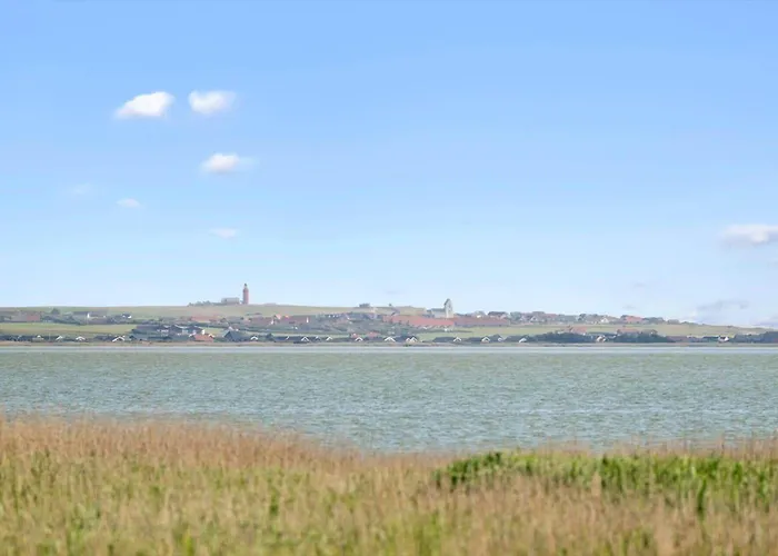 Dom wakacyjny 808-harboore-neerlandiavej-44 *